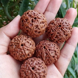 Peut inclure: Cinq perles rondes de couleur marron, avec un motif complexe et un petit trou au centre. Les perles sont disposées dans une main.
