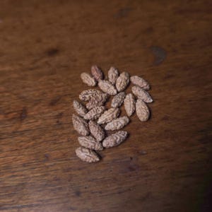 May include: A close-up of a group of light brown seeds on a wooden surface.