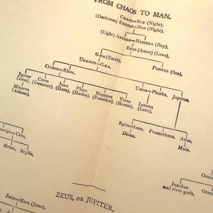 May include: A cream-colored page featuring a printed genealogical chart titled FROM CHAOS TO MAN. The text displays black ink lines and names of mythological figures such as Chaos, Nox, Erebus, Gæa, Uranus, and Zeus, organized in a hierarchical structure.
