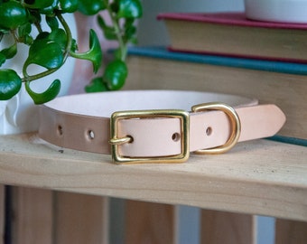 Personalized Leather Dog Collar with Solid Brass Hardware | Custom Engraved Pet Collar | Premium Handcrafted Leather Dog Collar