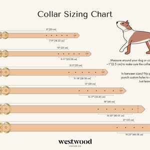 Colar Sizes Table Extra Wide Leather Dog Collar: Personalized and Custom | English Bridle ...