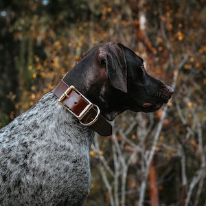 Extra WIDE Leather Dog Collar | Personalized Leather Dog Collar | Wide Dog Collar | Custom Thick Dog Collar - English Bridle & Solid Brass