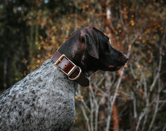 Extra BREITES Hundehalsband aus Leder | Personalisierte Leder Hundehalsband | Breite Hundehalsband