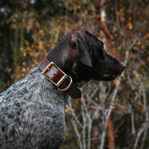 Extra BREITES Hundehalsband aus Leder | Personalisierte Leder Hundehalsband | Breite Hundehalsband