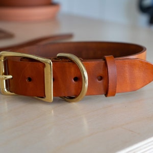 May include: A brown leather dog collar with a brass buckle. The collar is made of high-quality leather and has a sturdy construction.