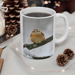 Carolina Wren in Snow Mug, songbird looks beseechingly at photographer,gift for bird lover or birdwatcher, nature lover gift, funny bird mug