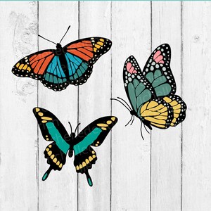butterfly svg bundle, butterflies png, butterflies sublimation designs, layered butterfly svg, butterfly svg for cricut, butterfly clipart