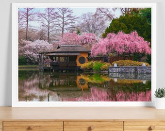 日本庭園のプリント、桜の反射写真、穏やかな壁アート