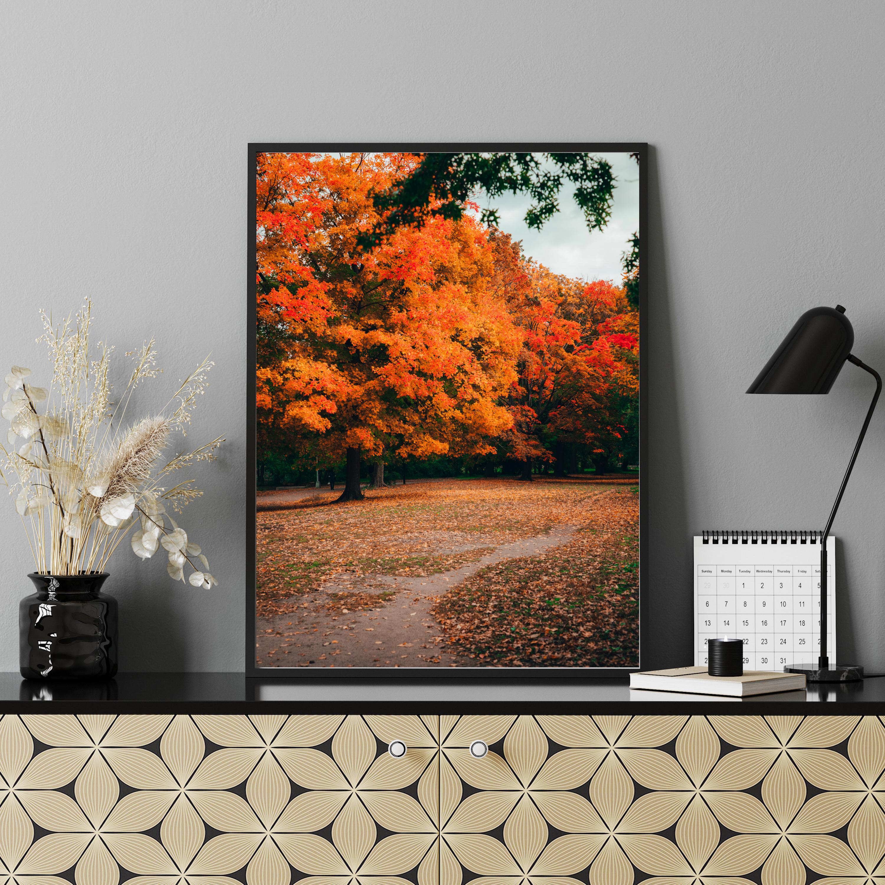 Autumn Path Print, Colorful Fall Foliage Wall Art, Nature Photography ...