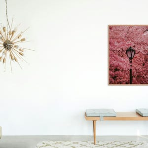 Puede incluir: Una fotograf&iacute;a enmarcada de un cerezo en flor rosa con una farola en el centro. La foto est&aacute; colgada en una pared blanca sobre un banco de madera con dos cojines azul claro.