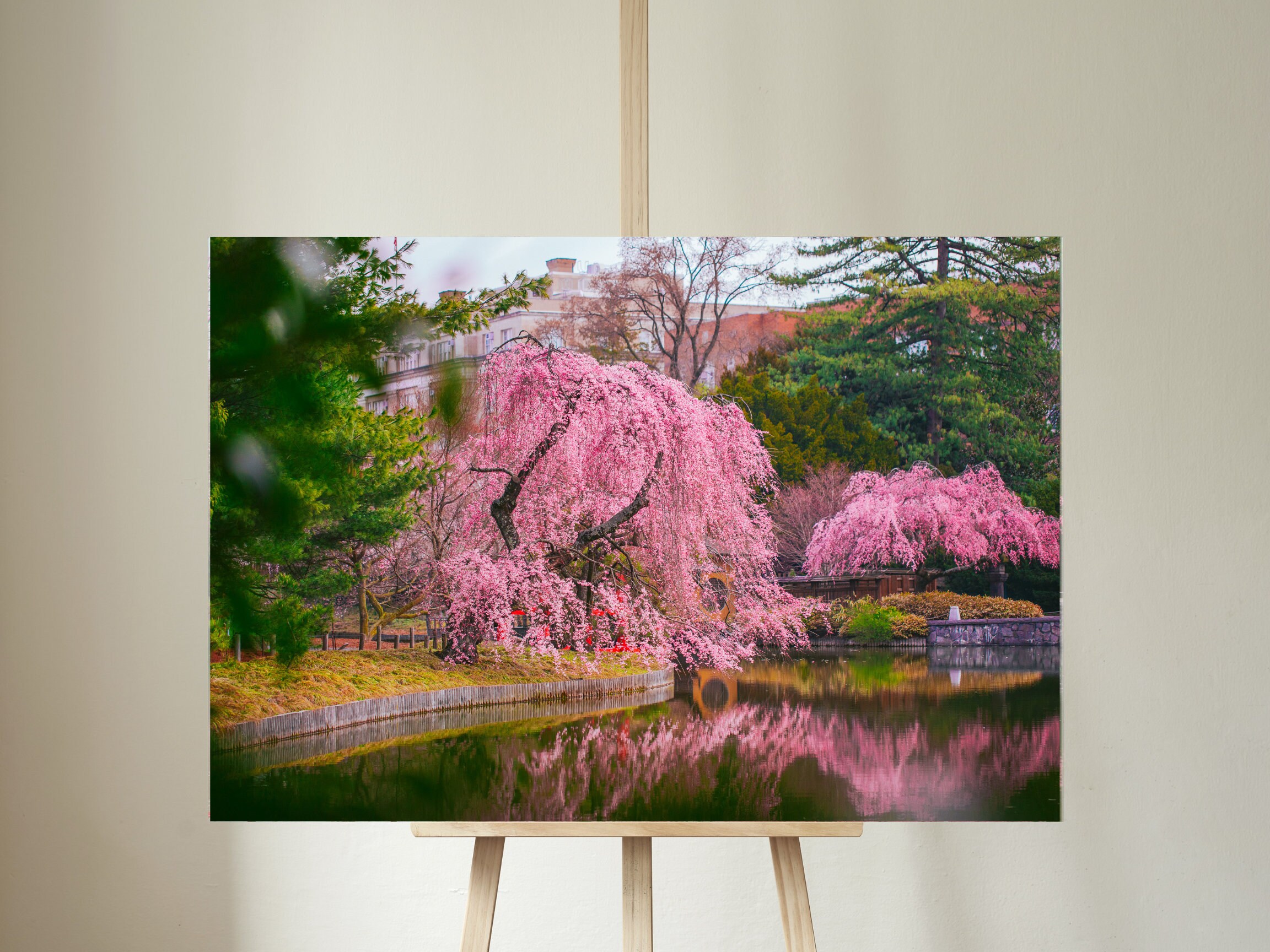 Pink Cherry Blossom Tree Print, Japanese Nature Wall Art - Etsy
