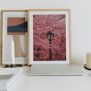 Puede incluir: Una impresi&oacute;n enmarcada de un cerezo en flor rosa con una farola en el centro. La impresi&oacute;n est&aacute; sobre un escritorio blanco con un port&aacute;til, un cuaderno, un portavelas y dos velas.