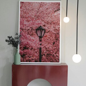 Puede incluir: Una impresi&oacute;n enmarcada de una farola bajo una copa de cerezos en flor rosa. La impresi&oacute;n est&aacute; colgada en una pared sobre una consola arqueada de color burdeos.