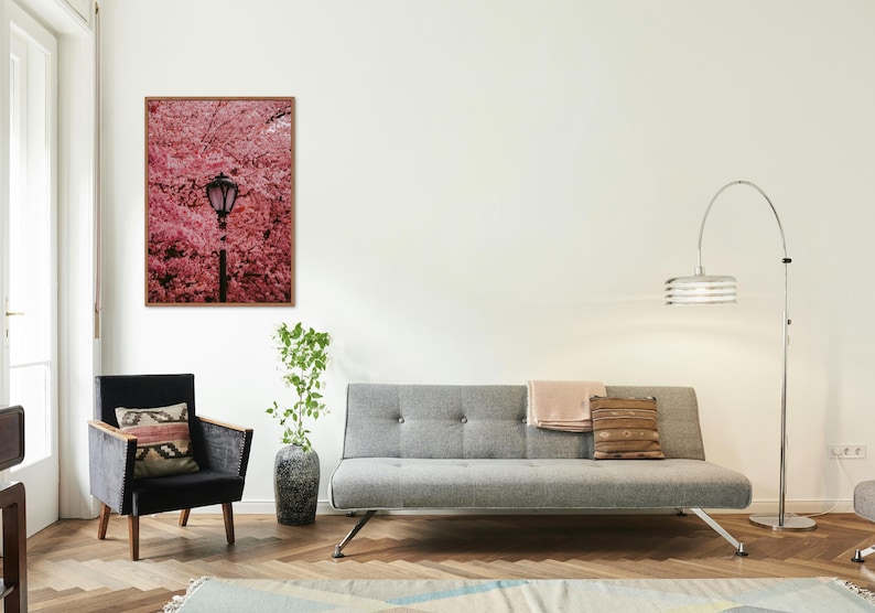 Puede incluir: Un sof&aacute; gris con un cuadro enmarcado con una impresi&oacute;n floral rosa encima. Un sill&oacute;n negro con un coj&iacute;n estampado se encuentra a la izquierda del sof&aacute;. Una l&aacute;mpara de pie con una base plateada y una pantalla blanca se encuentra a la derecha del sof&aacute;.
