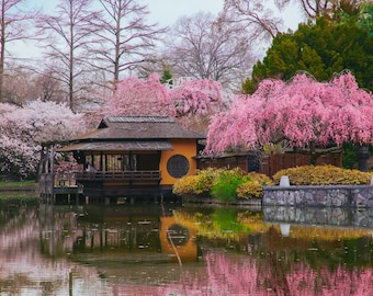 Impresión de jardín japonés, foto de reflejo de flor de cerezo, arte de pared sereno