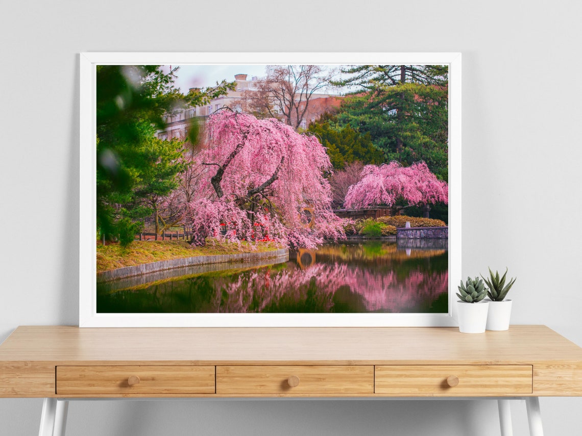 Pink Cherry Blossom Tree Print, Japanese Nature Wall Art - Etsy