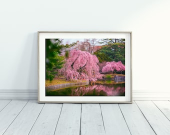 Impresión de cerezo rosa, arte mural de naturaleza japonesa