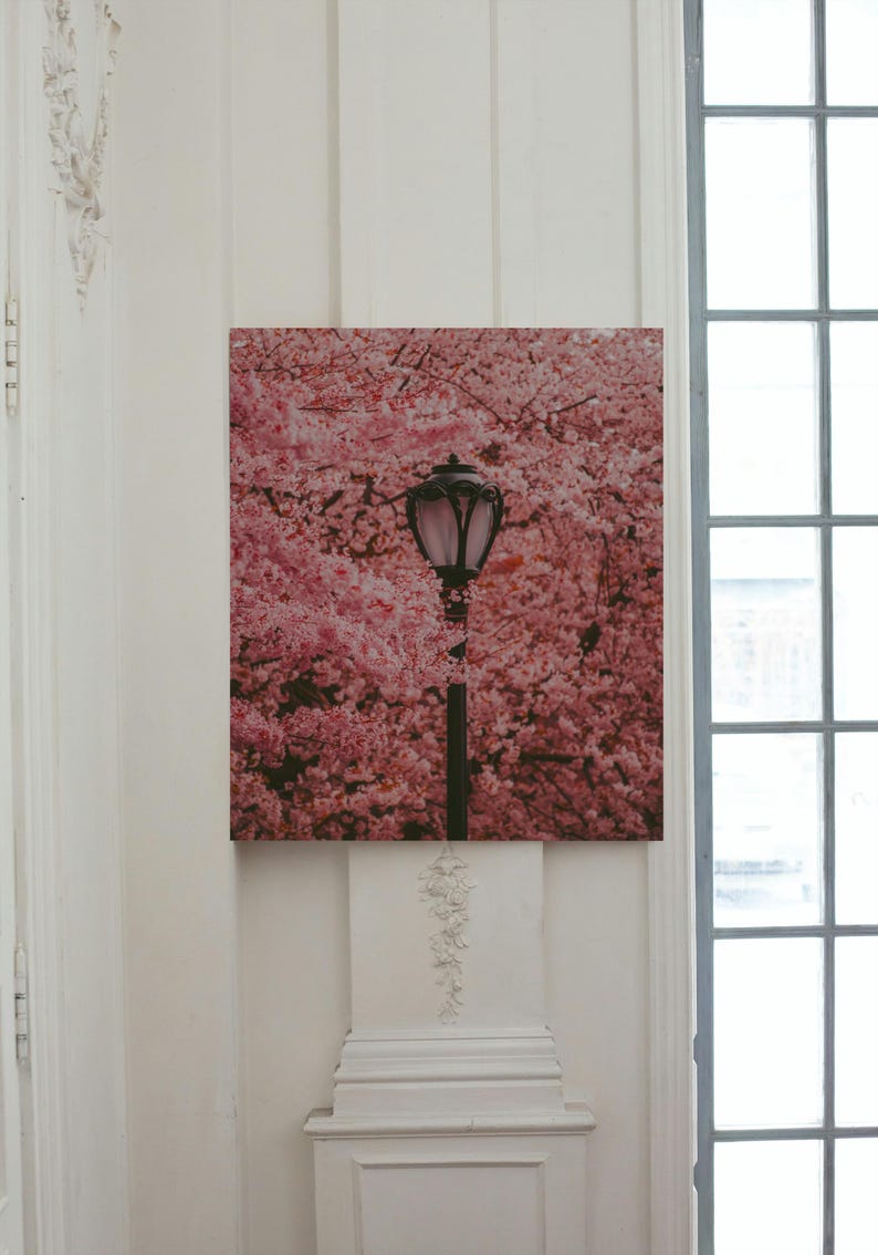 Puede incluir: Una farola negra con una pantalla de vidrio rosa se encuentra frente a un fondo de flores de cerezo rosas.