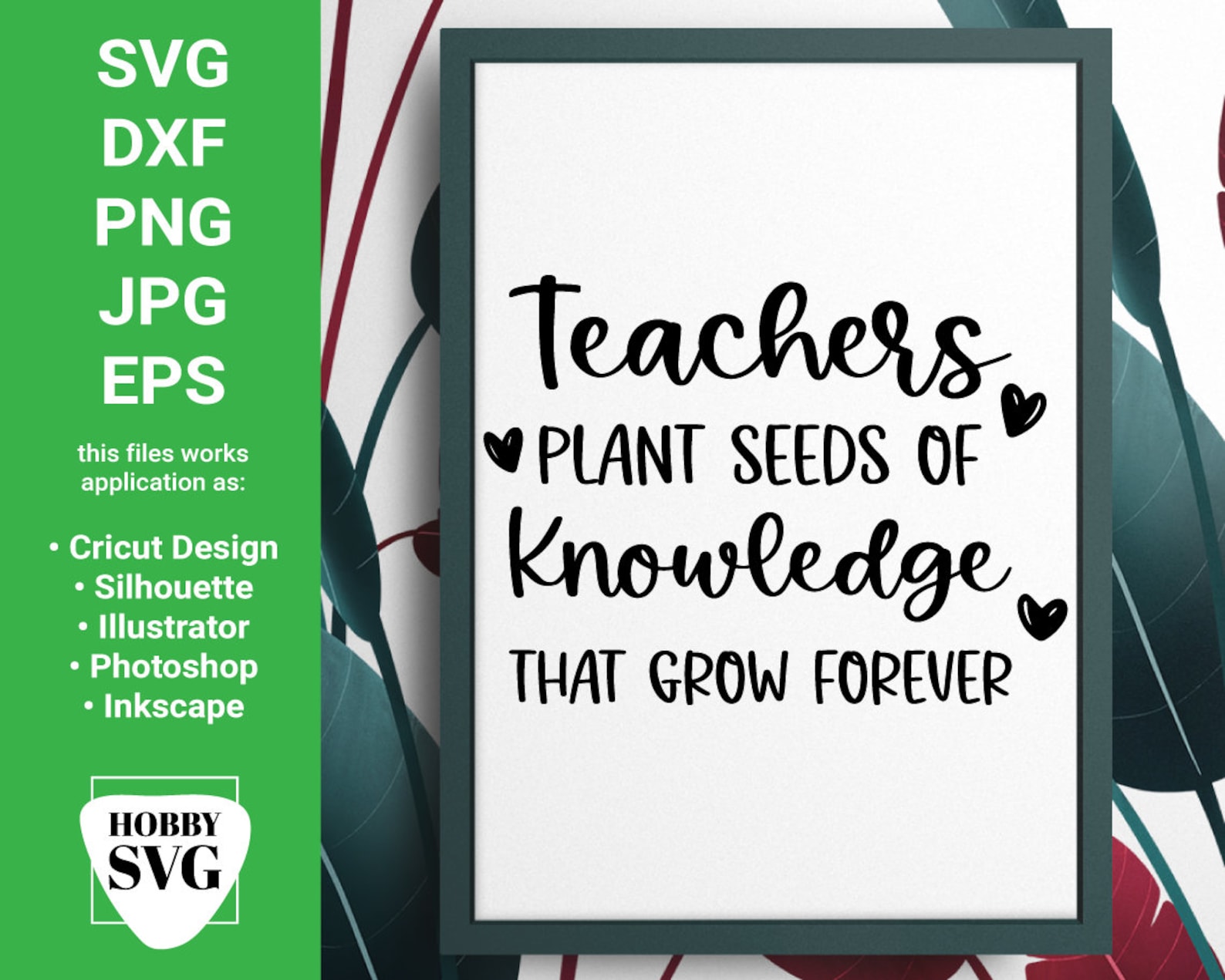 Teachers plant seeds of knowledge that grow forever svg | Etsy