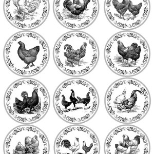 Vintage Chicken Mason Jar Labels image 3