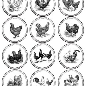 Vintage Chicken Mason Jar Labels image 4