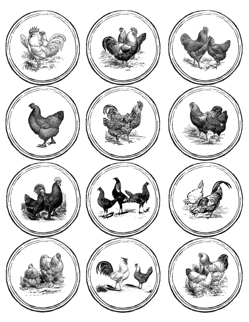 Vintage Chicken Mason Jar Labels image 4