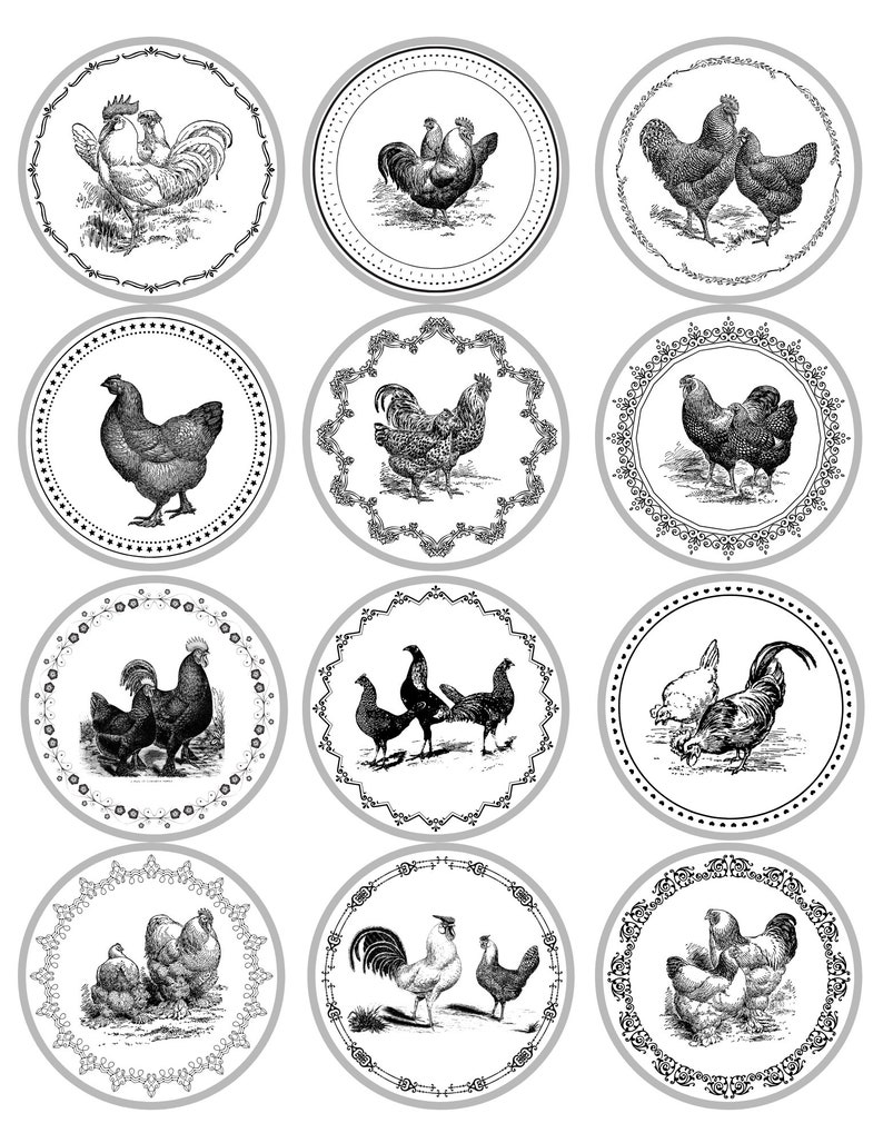 Vintage Chicken Mason Jar Labels image 2