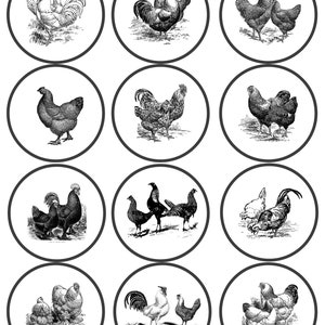 Vintage Chicken Mason Jar Labels image 5