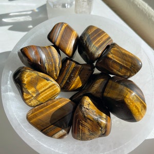 Tigers Eye Tumbled Stone, One (1) Large High Quality Gold Polished from Brazil, Ethically Sourced