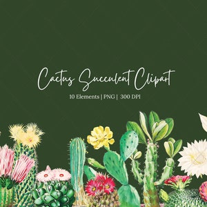 Conjunto de imágenes prediseñadas de cactus / Cactus de acuarela con flores / PNG / Uso comercial gratuito