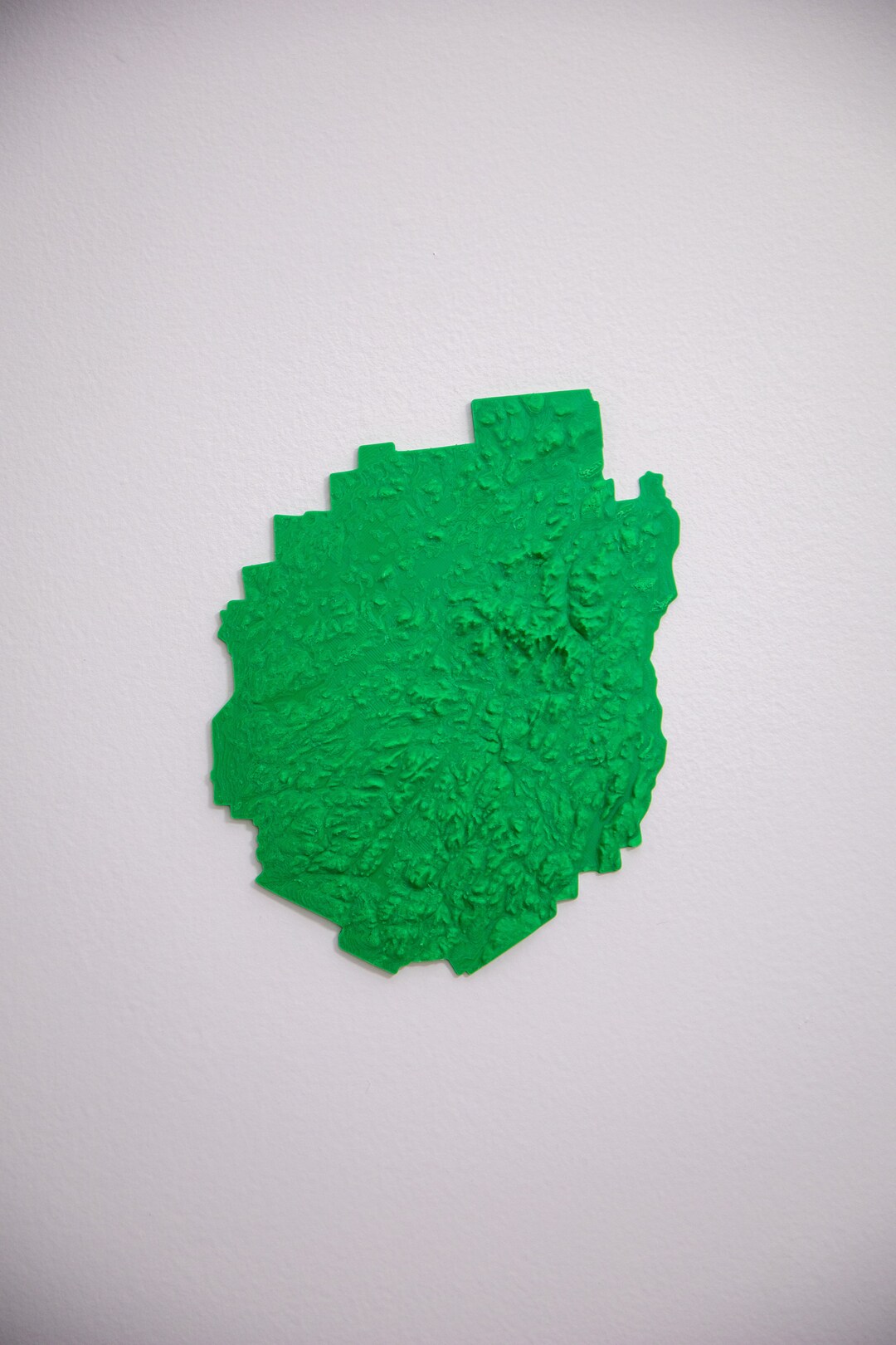 Picture Idea: 3D Printed Terrain Map Of The Adirondack Park