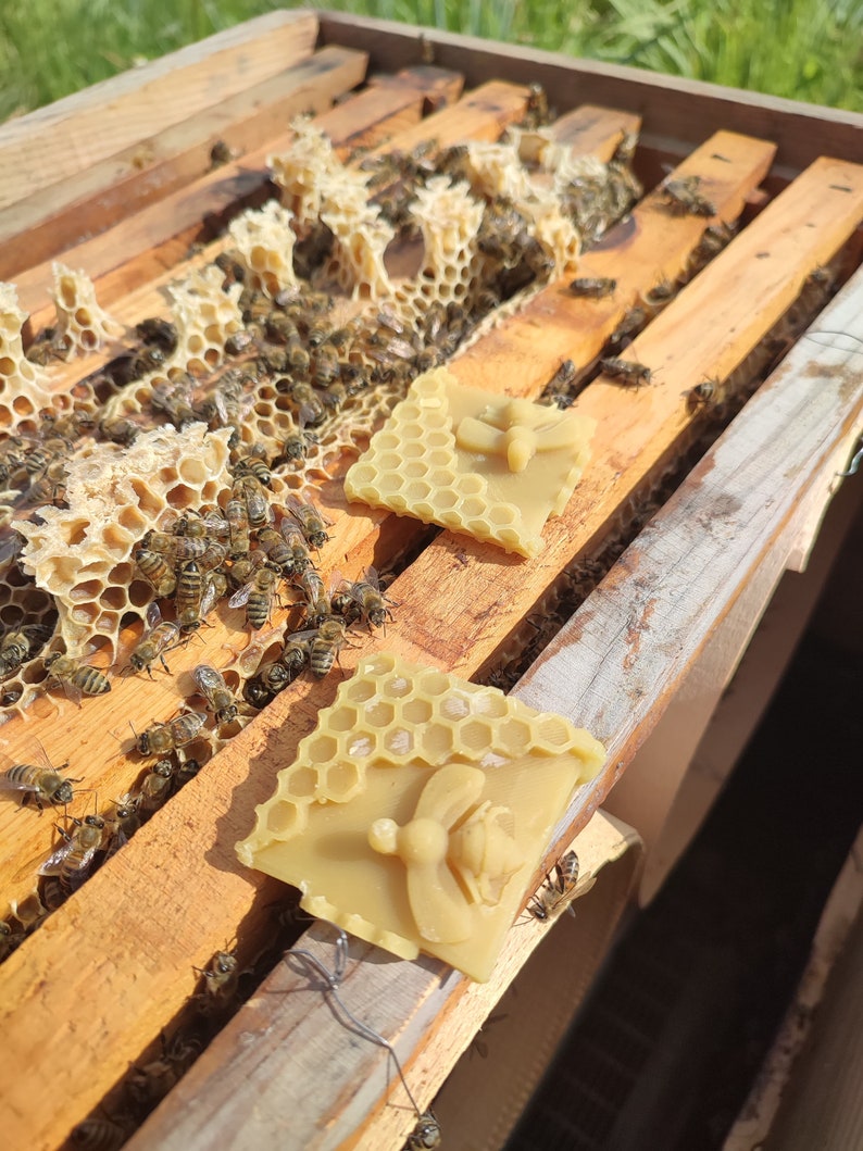 Bienenwachs-Köder, 5 Stück Natürlicher Bienenwachs-Bienen-Lockstoff für Alle Fallentypen Bild 6
