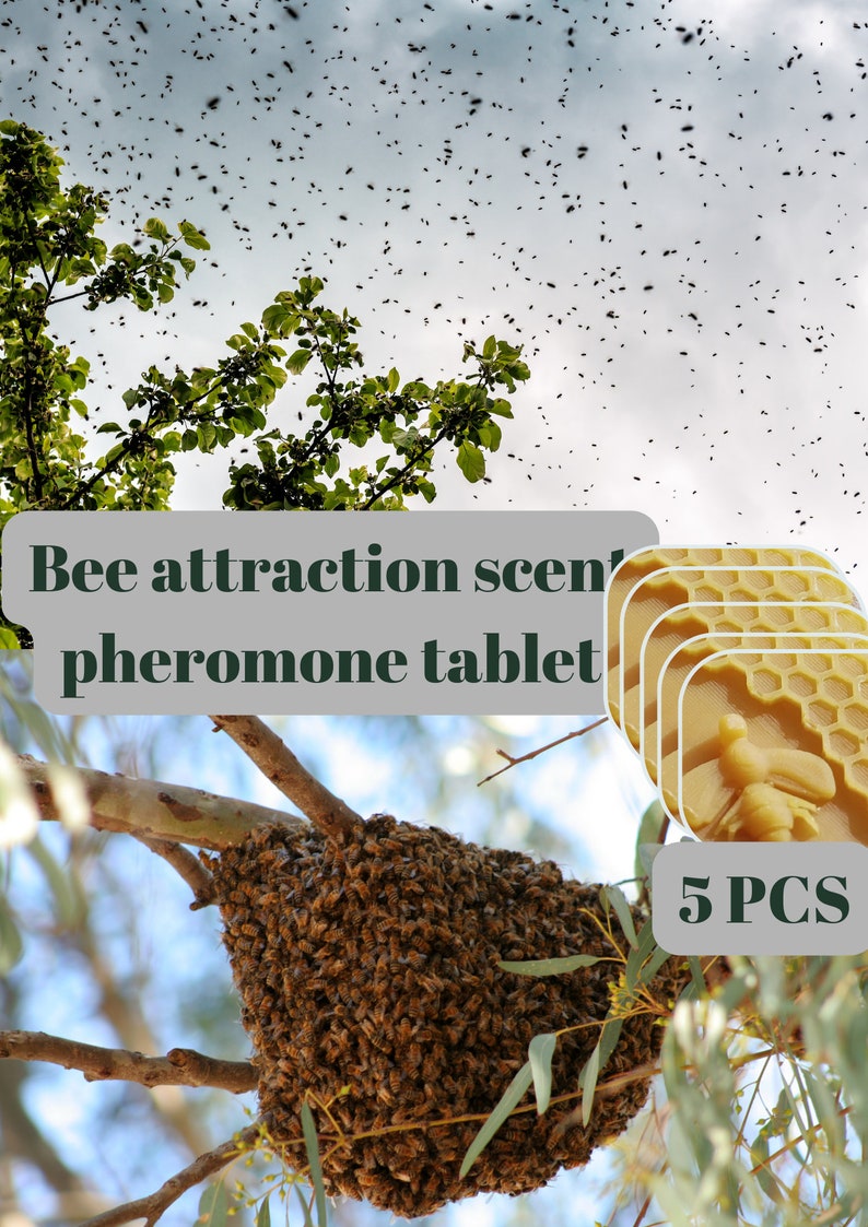 Bienenwachs-Köder, 5 Stück Natürlicher Bienenwachs-Bienen-Lockstoff für Alle Fallentypen Bild 1