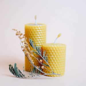 Candle Making Kit for Adults and Kids, 20 Beeswax Sheets, Make Your Own  Rolled Candles With Our Candle Making Supplies 