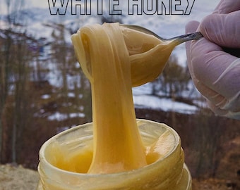 White Honey,  Cream Honey, (180 gram / 6,34 oz. ) Premium Honey, Turkish Honey, Bal, Raw Honey, Natural White Honey,