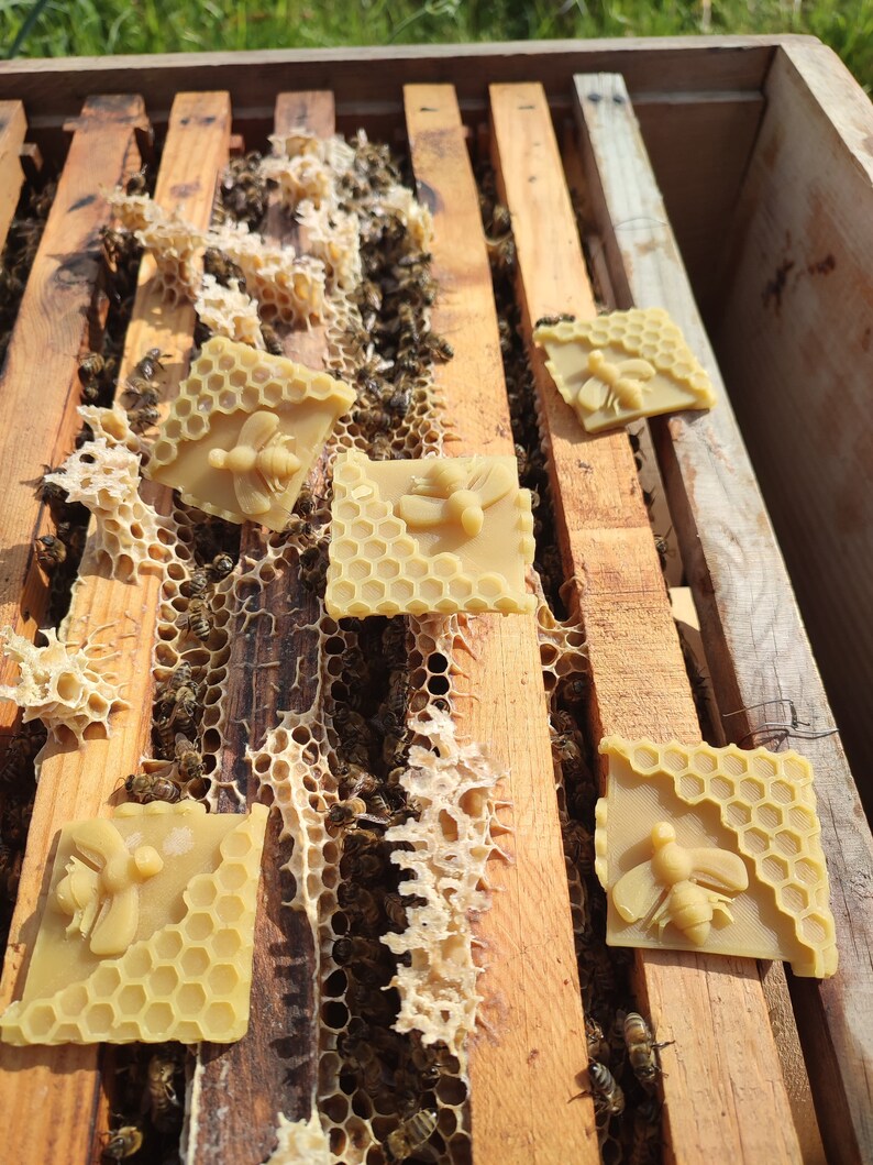 Bienenwachs-Köder, 5 Stück Natürlicher Bienenwachs-Bienen-Lockstoff für Alle Fallentypen Bild 7