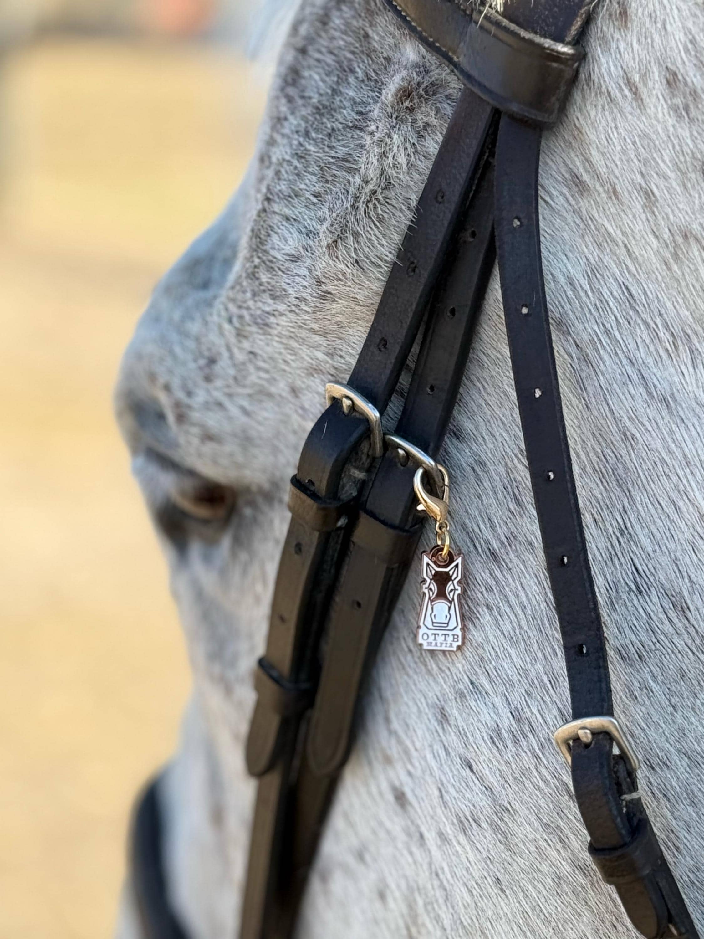 Braided Bridle