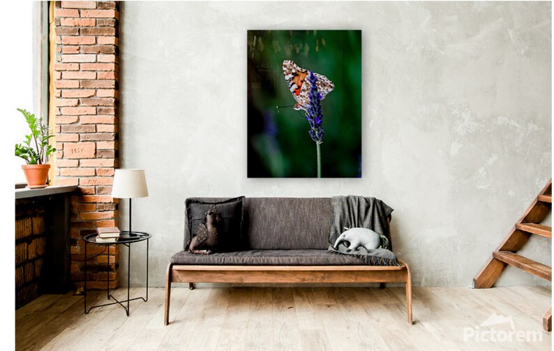 Butterfly Photography Butterfly Metal Art Print Nature Etsy