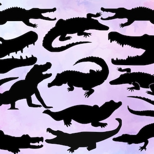 Krokodil SVG Bundle, Alligator SVG, Alligator Clipart, Cut Dateien für Silhouette, Dateien für Cricut, Alligator Vektor, Svg, Png, Design