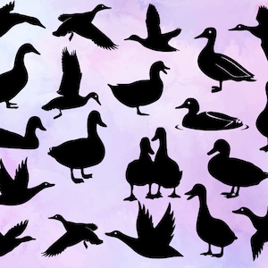 Pato SVG - Animal Svg - Silhueta de pato - Arquivos de corte SVG - Pacote de pato SVG - Clipart de pato - Arquivo de corte de pato - Vetor de pato - Download instantâneo