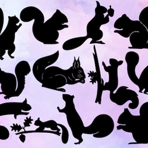 Squirrel SVG - Animal SVG - Squirrel Silhouette - SVG Cut Files- Squirrel Bundle Svg- Squirrel Clipart- Squirrel Cut File- Téléchargement instantané