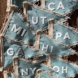 May include: A collection of light blue triangular fabric pennants with frayed edges and white stitched letters. Each pennant features a two-letter state abbreviation including MD, CA, UT, MI, PA, GA, HI, NY, OH, ME, and CT, secured with small pins.