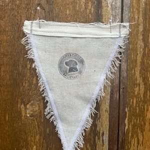 May include: A white triangular fabric pennant with frayed edges. The pennant has a black circle with the text "ANYBODY'S BACKYARD" in white lettering and a silhouette of a dog's head inside the circle.