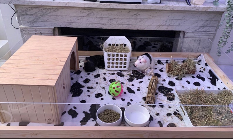 Large Indoor Guinea Pig Cage Enclosure Two Levels 148x74x94cm Etsy UK large-indoor-guinea-pig-cage-enclosure-two-levels-148x74x94cm-etsy-uk