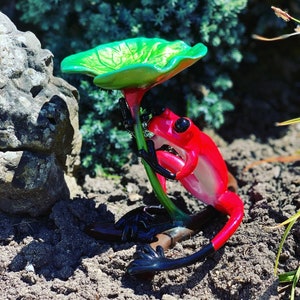 Frog red