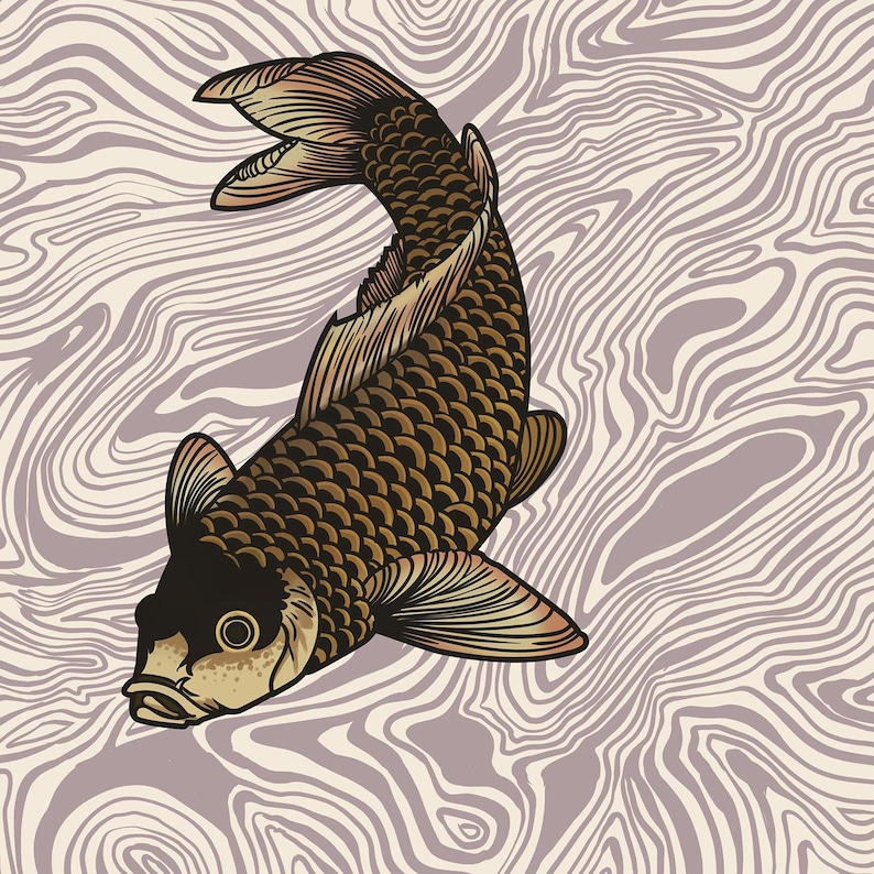 May include: A detailed illustration of a koi carp, featuring a dark brown body and a black head, set against a wavy, light purple and beige background. The fish is angled, displaying its fins and scales.