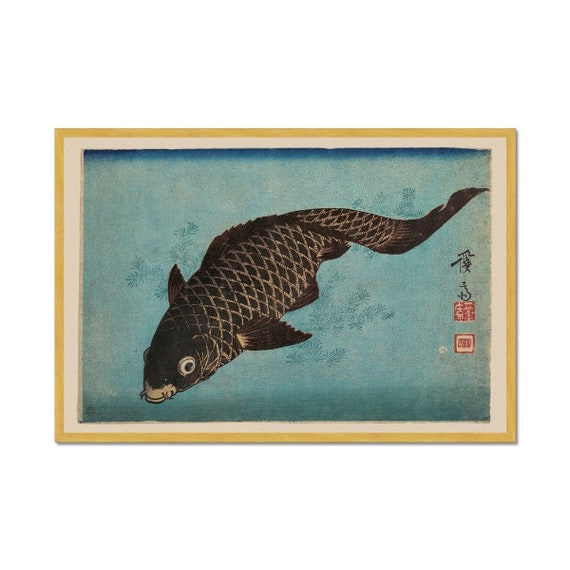 Framed Japanese Watercolour of Swimming Carp - 19thC Framed Japanese Watercolour of Swimming Carp - 19thC
