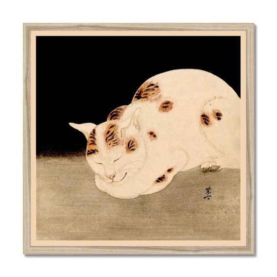 Cute Sleeping Cat (kawanabe Kyosai) Woodblock Japanese Meiji Ukiyo