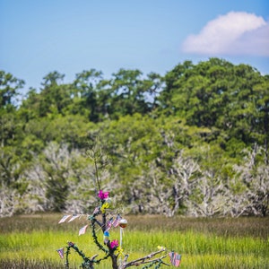 Edisto Island, Original Photography, Print Mystery Tree, Beach House Decor, Beach Gift, SOUTH CAROLINA, Whimsical, Low Country Art