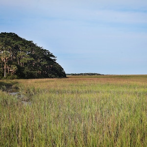 Edisto,Original Photo, Print, Botany Bay, Edisto Island, Lowcountry Art Prints, Marsh Print, Coastal Decor, Low Country Wall Art